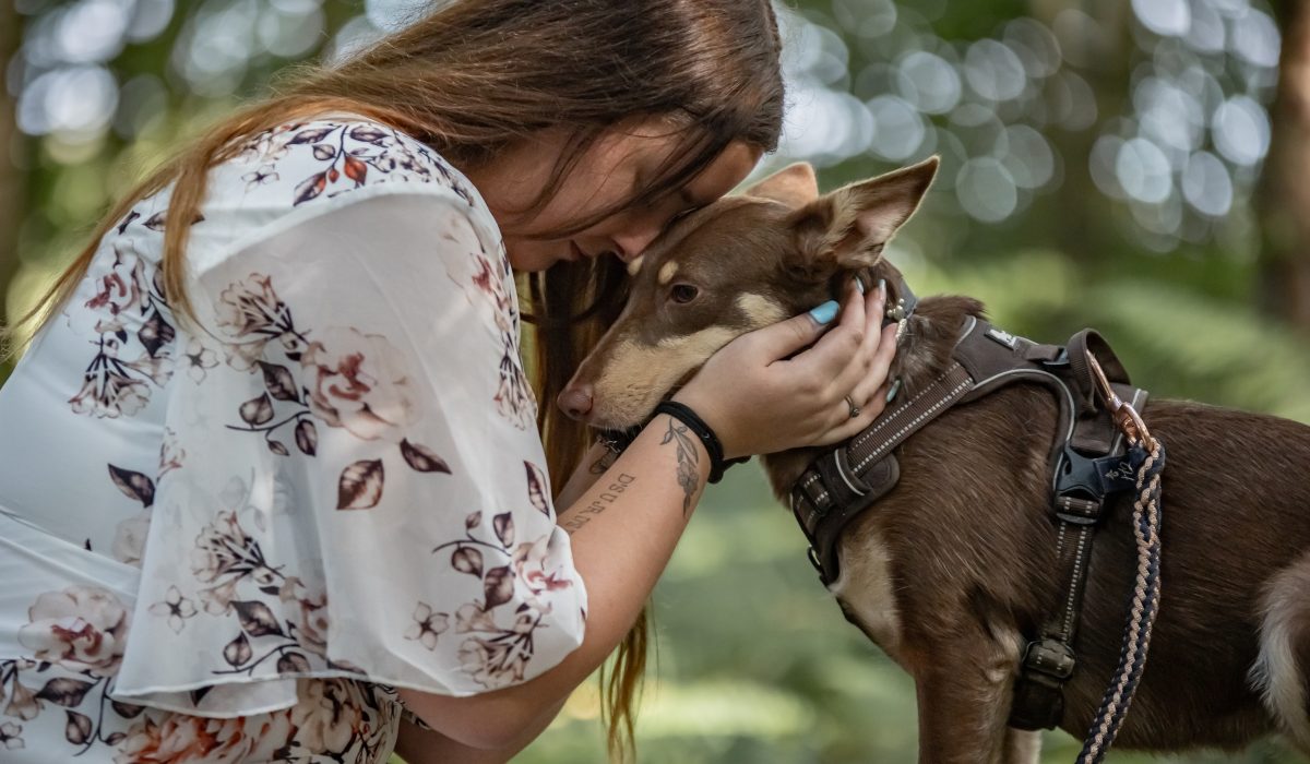 tête à tête complice chien et sa maîtresse en forêt en Ille et Vilaine