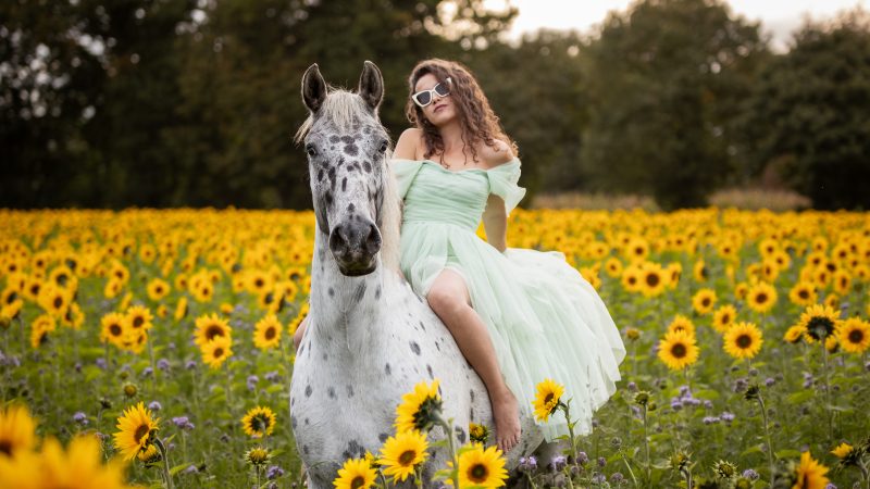 photo cavaliere à cheval en liberte dans un champ de tournesol en Ille et Vilaine