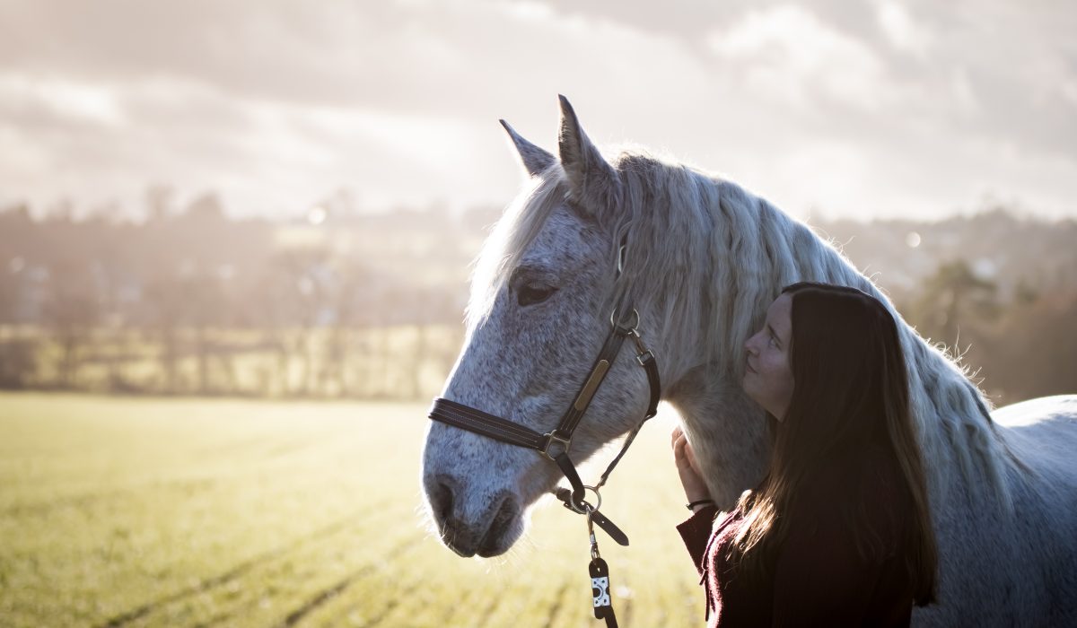 séance photo propriétaire et son cheval dans un champ en Ille et Vilaine