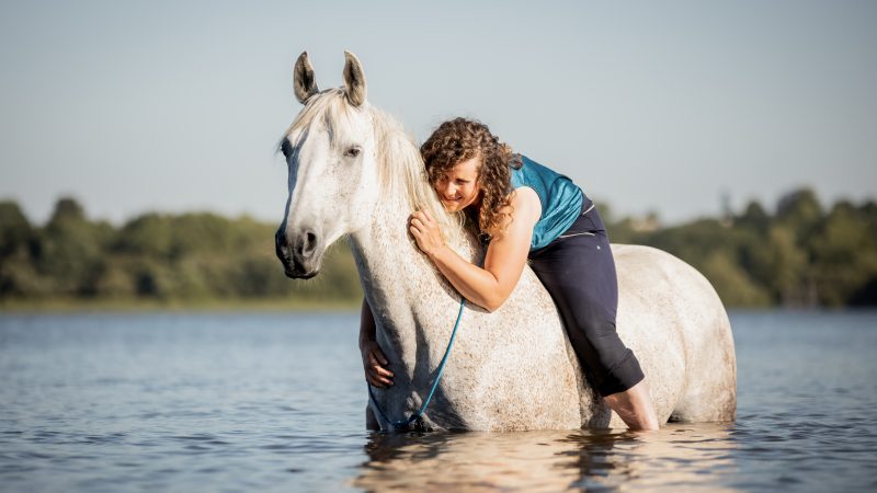 séance photo cavalière à cheval en liberté dans l'eau en Ille et Vilaine
